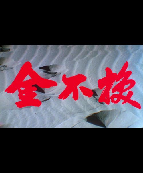 金不换