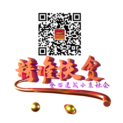 进入网站首页