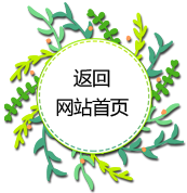 进入网站首页